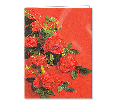 Mini Gift Cards