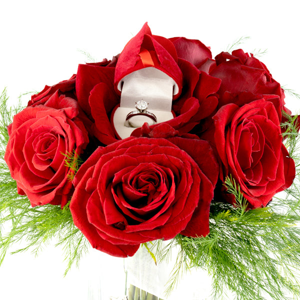 The Noble Rose Red Ring Box