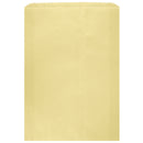 Colored Flat Paper Merchandise Bag