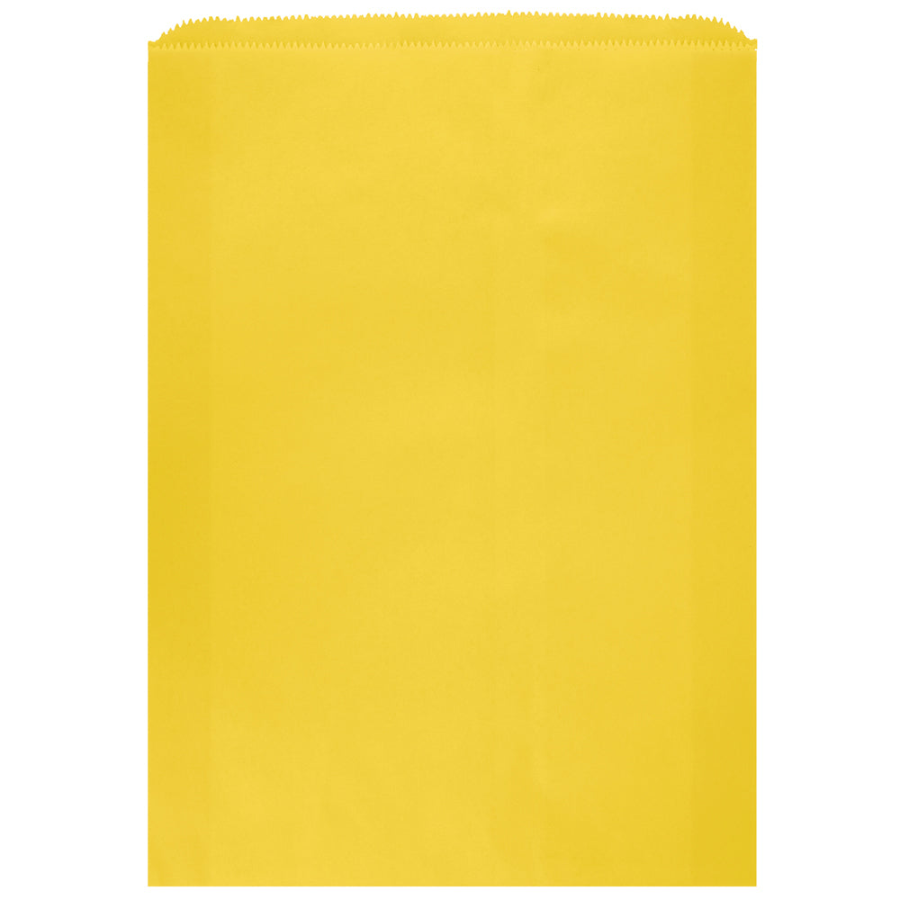 Colored Flat Paper Merchandise Bag