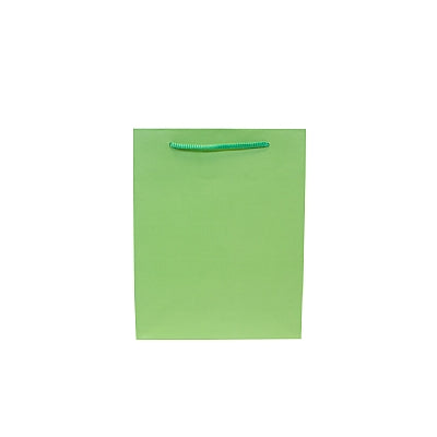 Colored Paper Bag