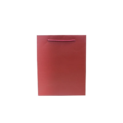 Colored Paper Bag