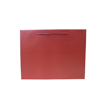 Colored Paper Bag