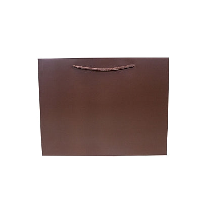Colored Paper Bag