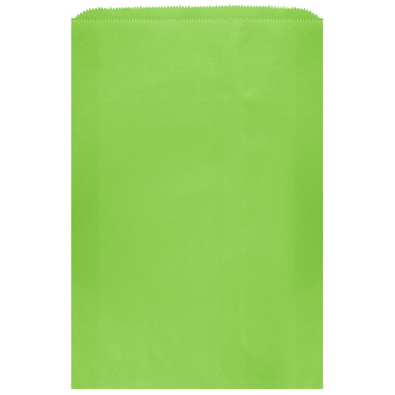 Colored Flat Paper Merchandise Bag