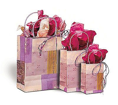 Fashion Noble Design Printed Paper Bag