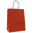 Natural Tints with Shadow Stripes Paper Bag