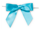 Satin Pre-Tied Bow
