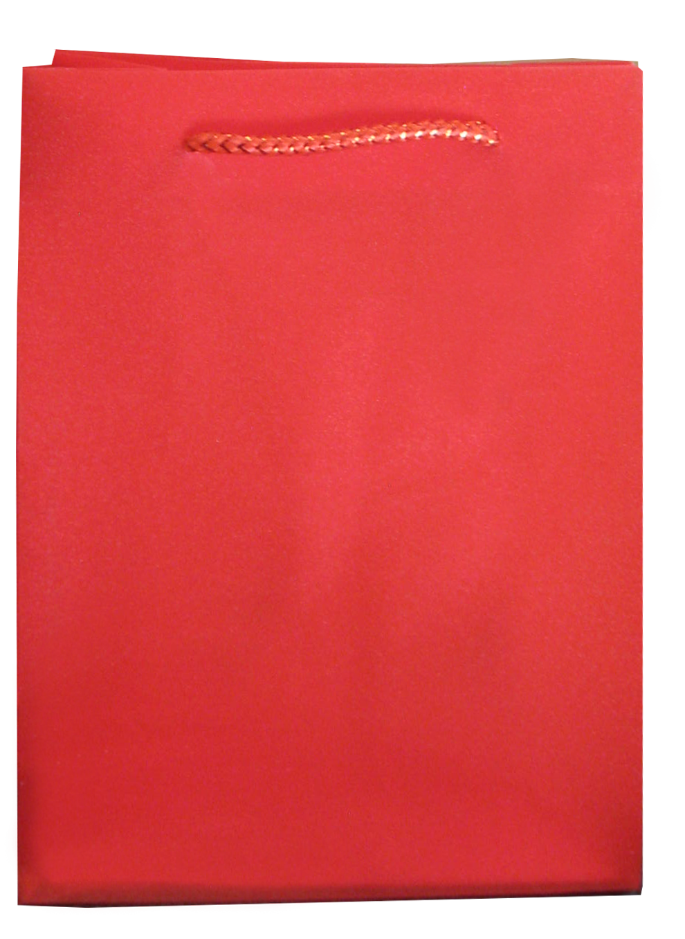 Glitter Bag