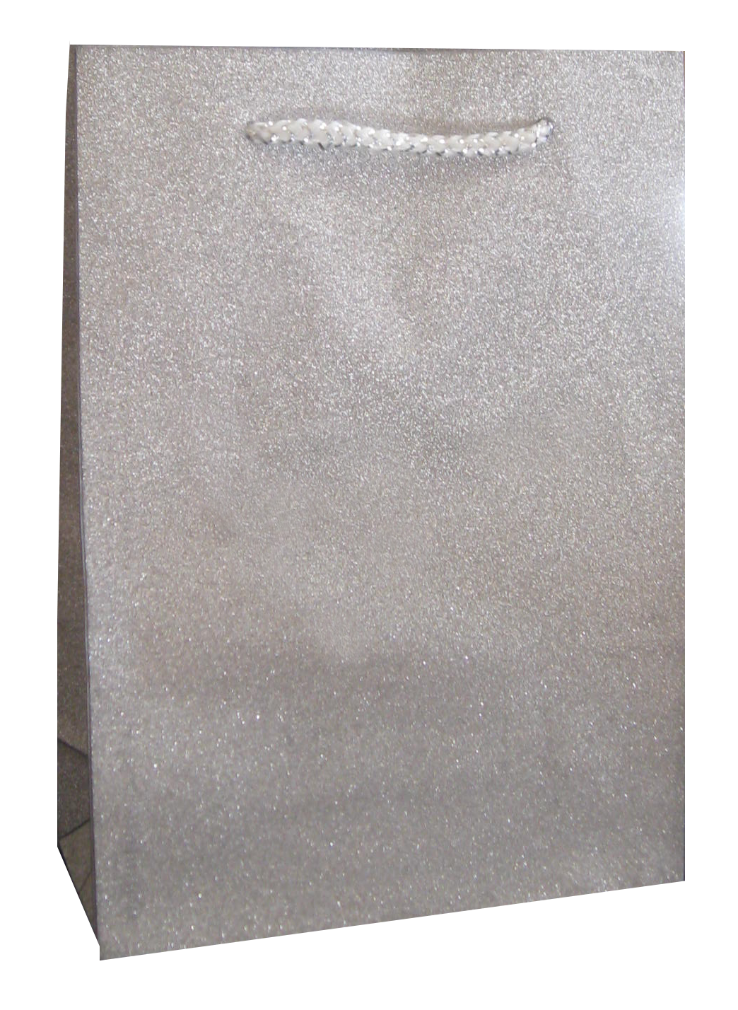 Glitter Bag