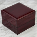 Black Piano Watch Box